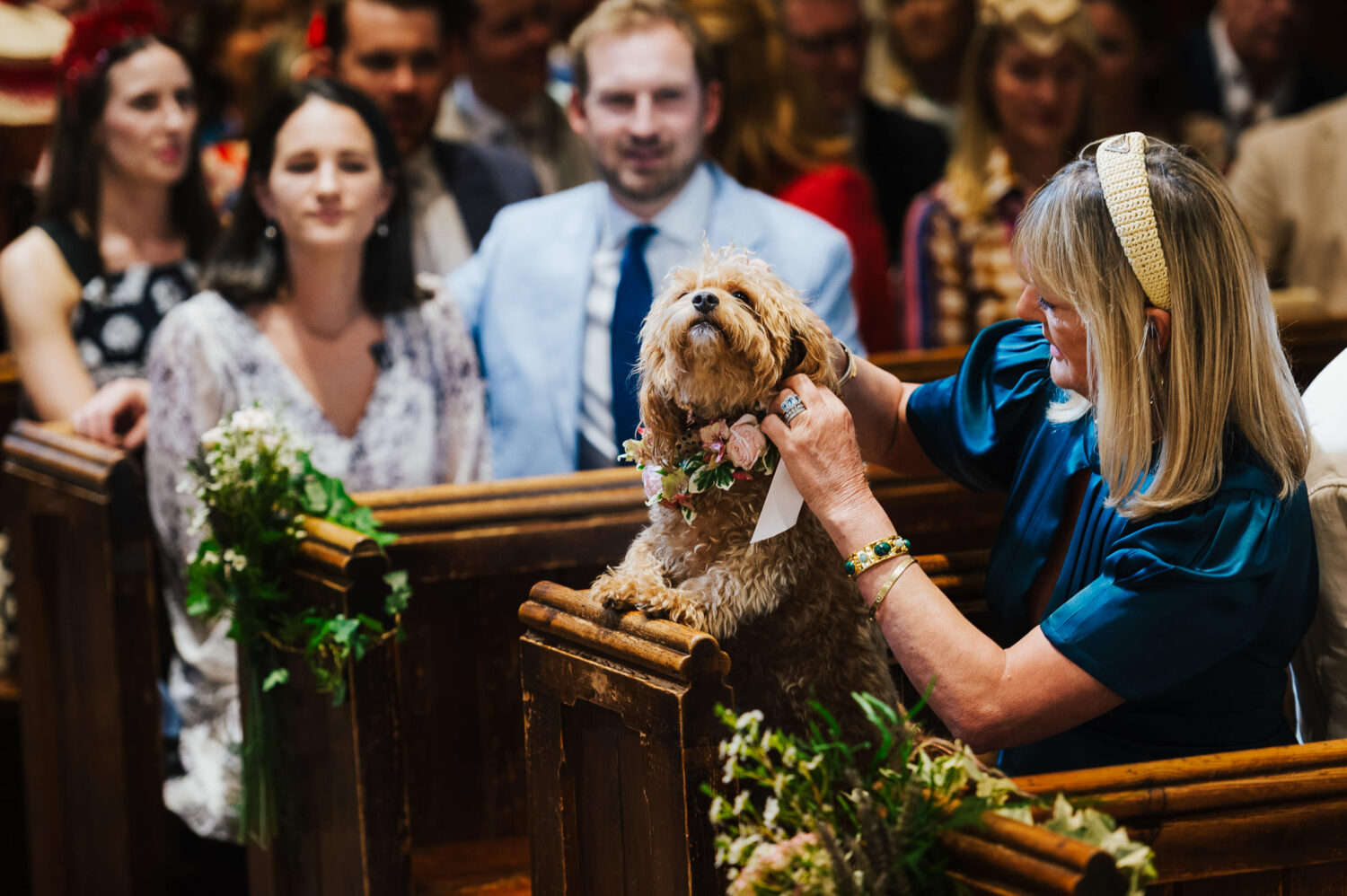 A Fluffy Dog In Church